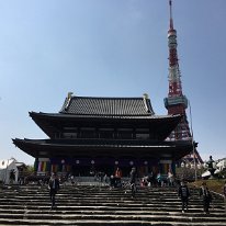 IMG_0852